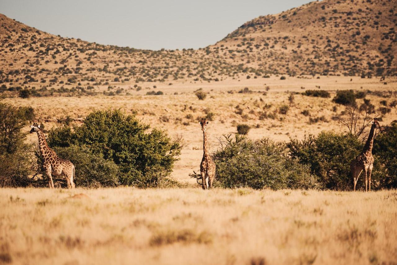 Glen Harry Game Reserve Villa Graaff Reinet Exterior photo